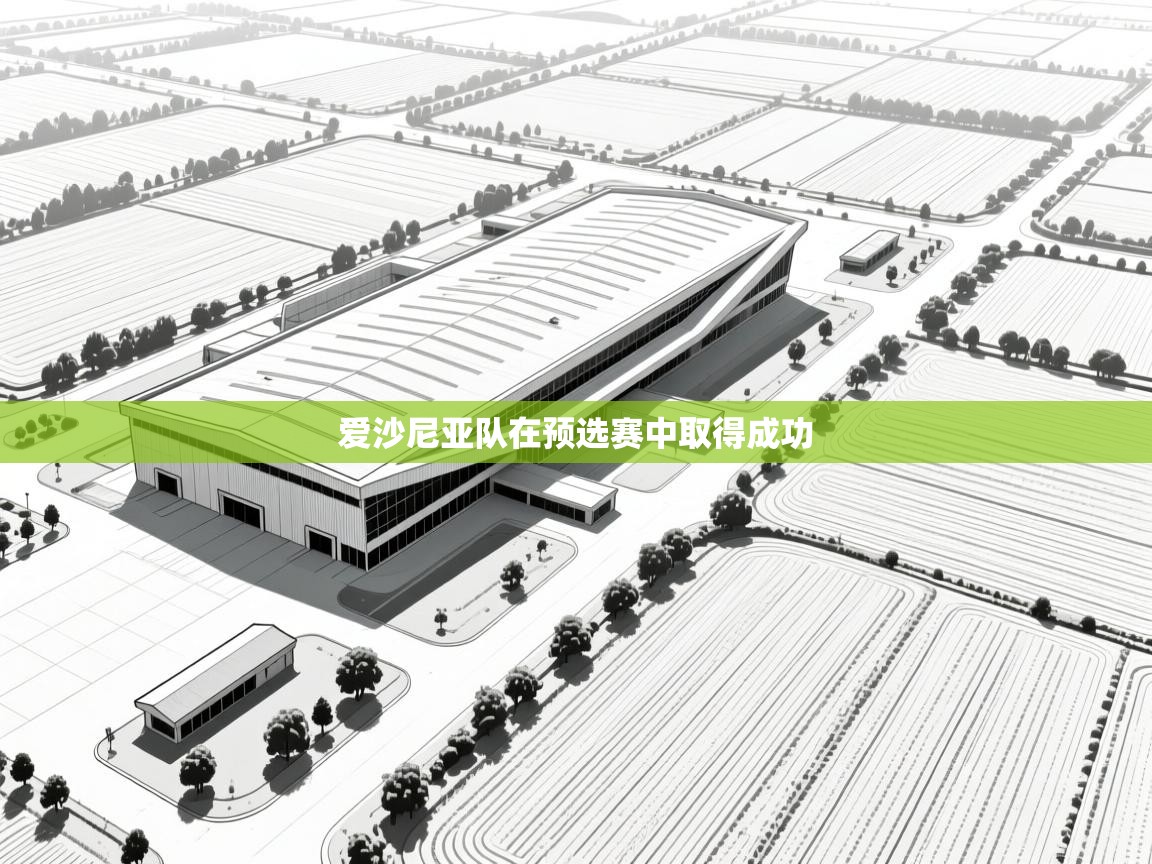 爱沙尼亚队在预选赛中取得成功
