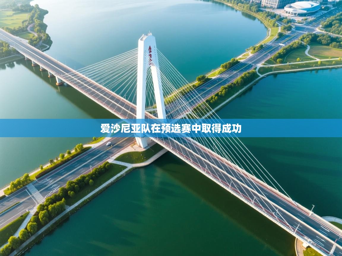 爱沙尼亚队在预选赛中取得成功  第2张