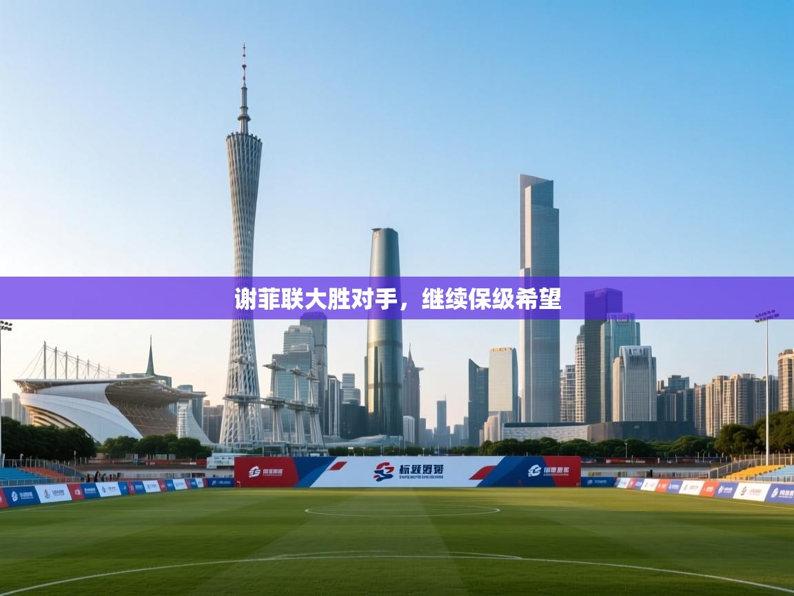 谢菲联大胜对手,继续保级希望 第2张