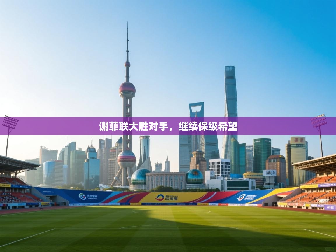 谢菲联大胜对手，继续保级希望