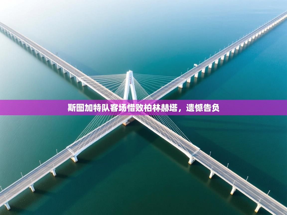 斯图加特队客场惜败柏林赫塔，遗憾告负  第2张