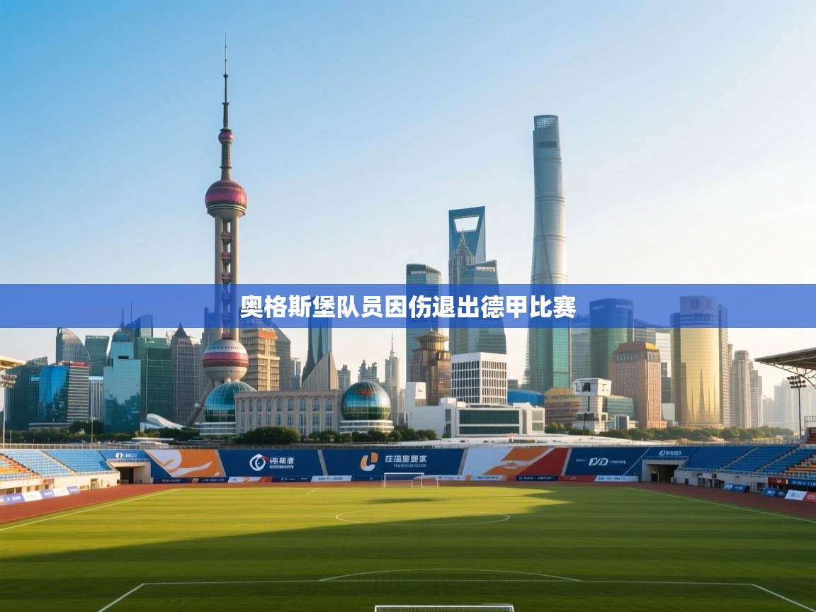 奥格斯堡队员因伤退出德甲比赛